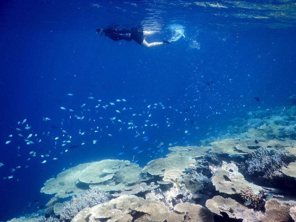 Отель Dhivehi Experience Дигура Экстерьер фото