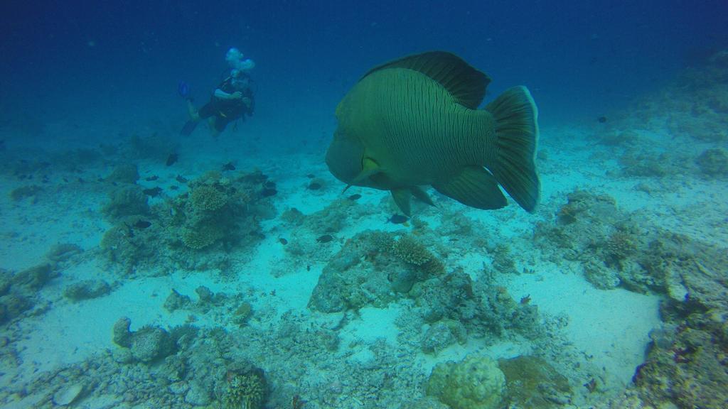 Отель Dhivehi Experience Дигура Экстерьер фото